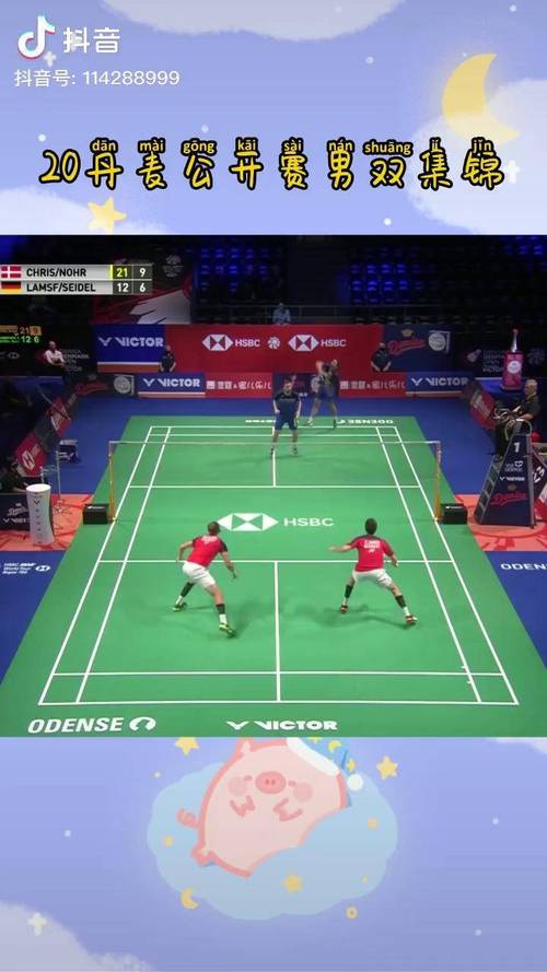 丹麦羽毛球公开赛直播在线观看