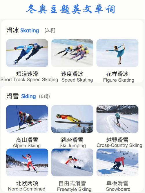 冬奥会比赛项目有哪些英语